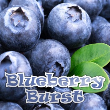 Blueberry Burst E-Liquid