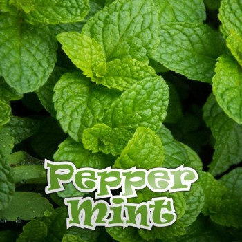 Peppermint E-Liquid
