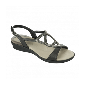 Scholl Eruannie